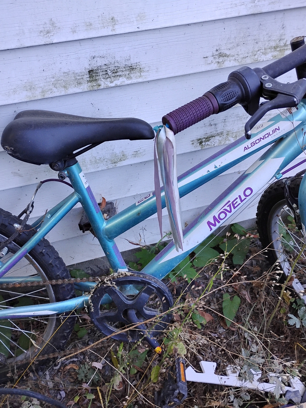 Kids Bike - Teal and Purple